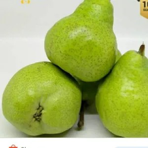 buah pir hijau 1kg