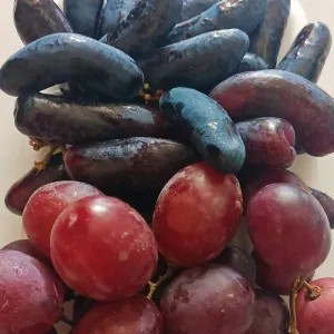 anggur mix black sapphire + red globe chili 1kg