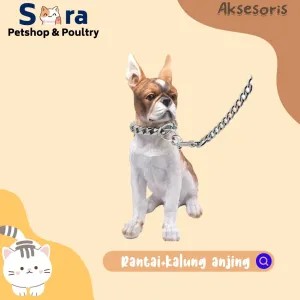 RANTAI ANJING / TALI RANTAI ANJING + KALUNG
