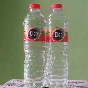 CLEO BOTOL