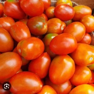 tomat buah(besar)/500gr