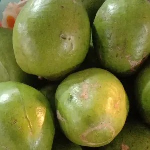 Kedondong 1kg