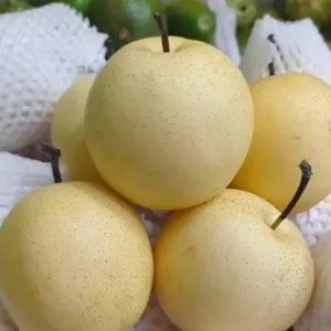 buah Pir 1kg