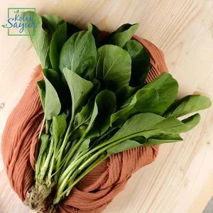 caisim hidroponik 250gr