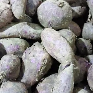 ubi ungu 1kg