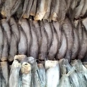 sepat siam / 100gr