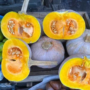 labu kuning 1kg