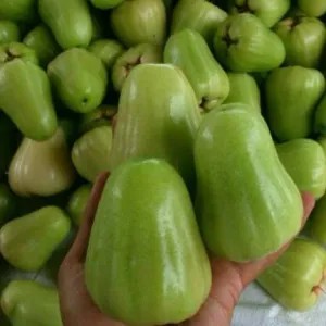 Jambu Air Madu 1/2, 1kg