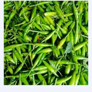 Cabe rawit ijo 1kg 1kg