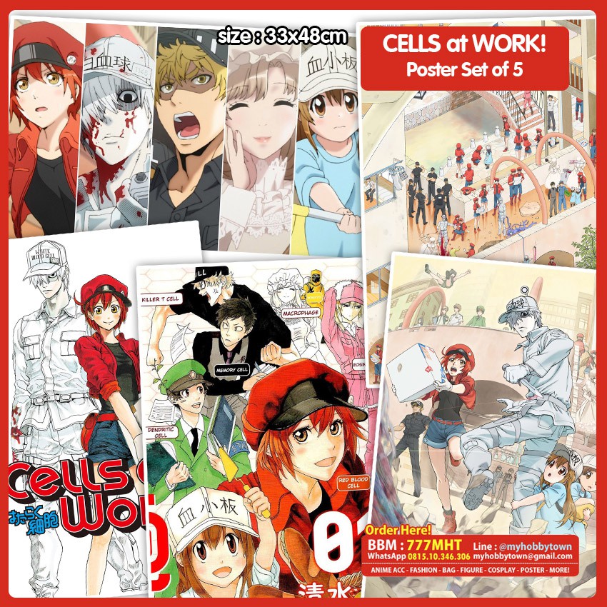 Poster Anime Hataraku Saibou - Cells At Work Set Of 5