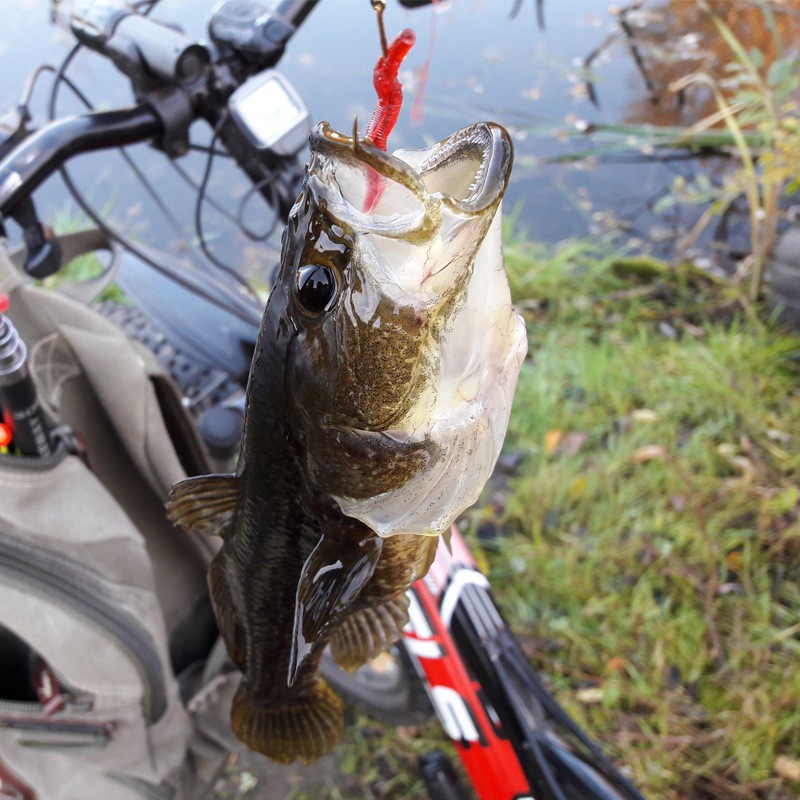 50 Pcs Umpan Pancing Buatan Bentuk Cacing Tanah Bahan Plastik Warna Merah