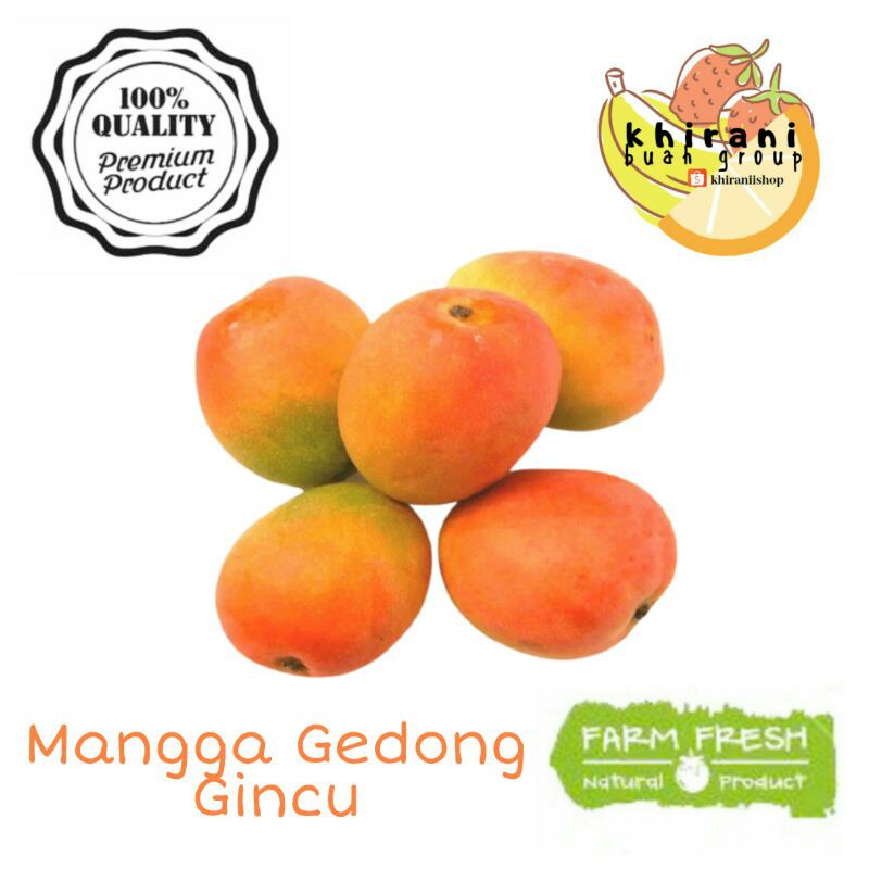 

Mangga gedong gincu