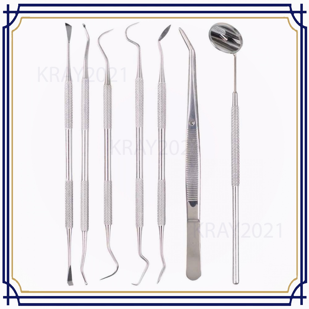 Peralatan Set Dokter Gigi Dentist Dental Tool 7 PCS HT108