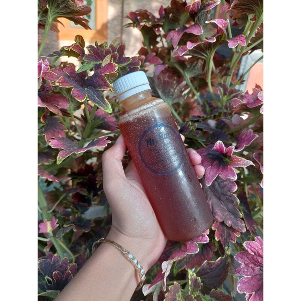 

madu jahe berkahsiat untuk penambah stamina