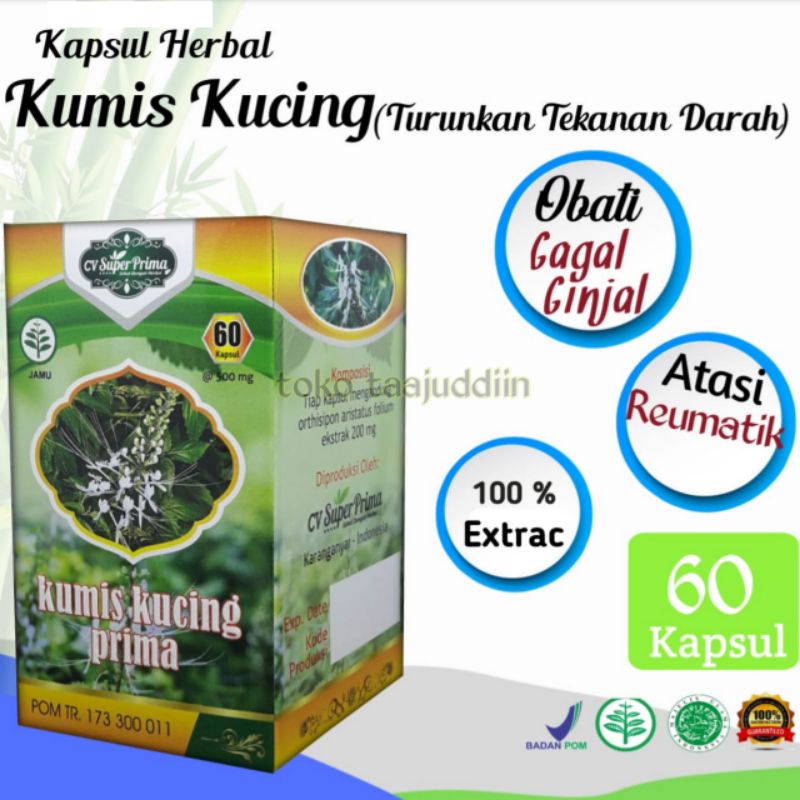 

Kapsul Herbal Kumis kucing 60kaps Obat Batu Ginjal Ampuh Melancarkan Kencing