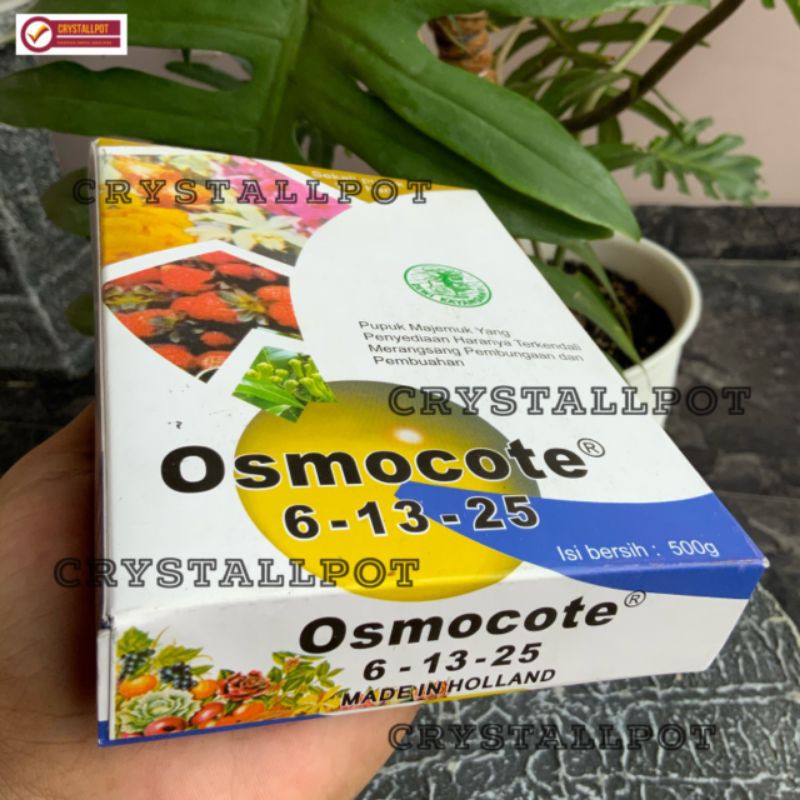 Pupuk penyubur buah dan bunga DEKASTAR 6-13-25  500gr(OSMOCOTE)