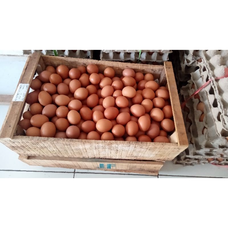 

Telur Ayam Negeri 1 Kg isi 15/16/17