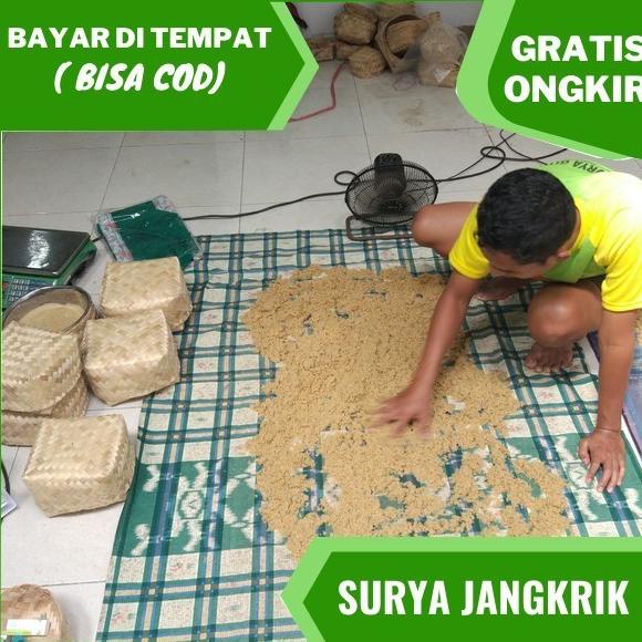 

(BISA COD) Surya Jangkrik penjual telur jangkrik madu GRATIS panduan penetasan