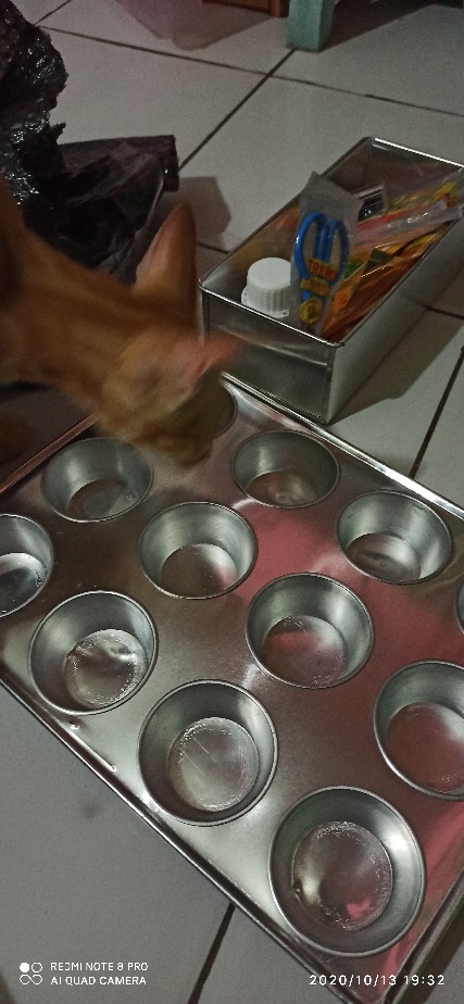 Cetakan Bolu Kukus B / Sedang 1 Lusin