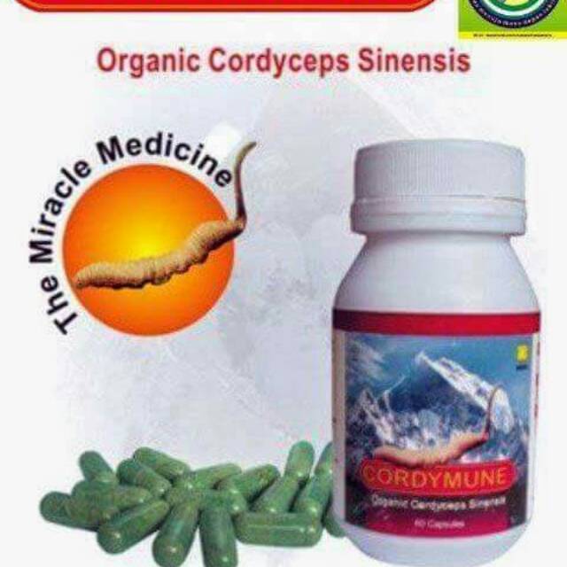 Cordymune organic cordyceps sinensis nasa