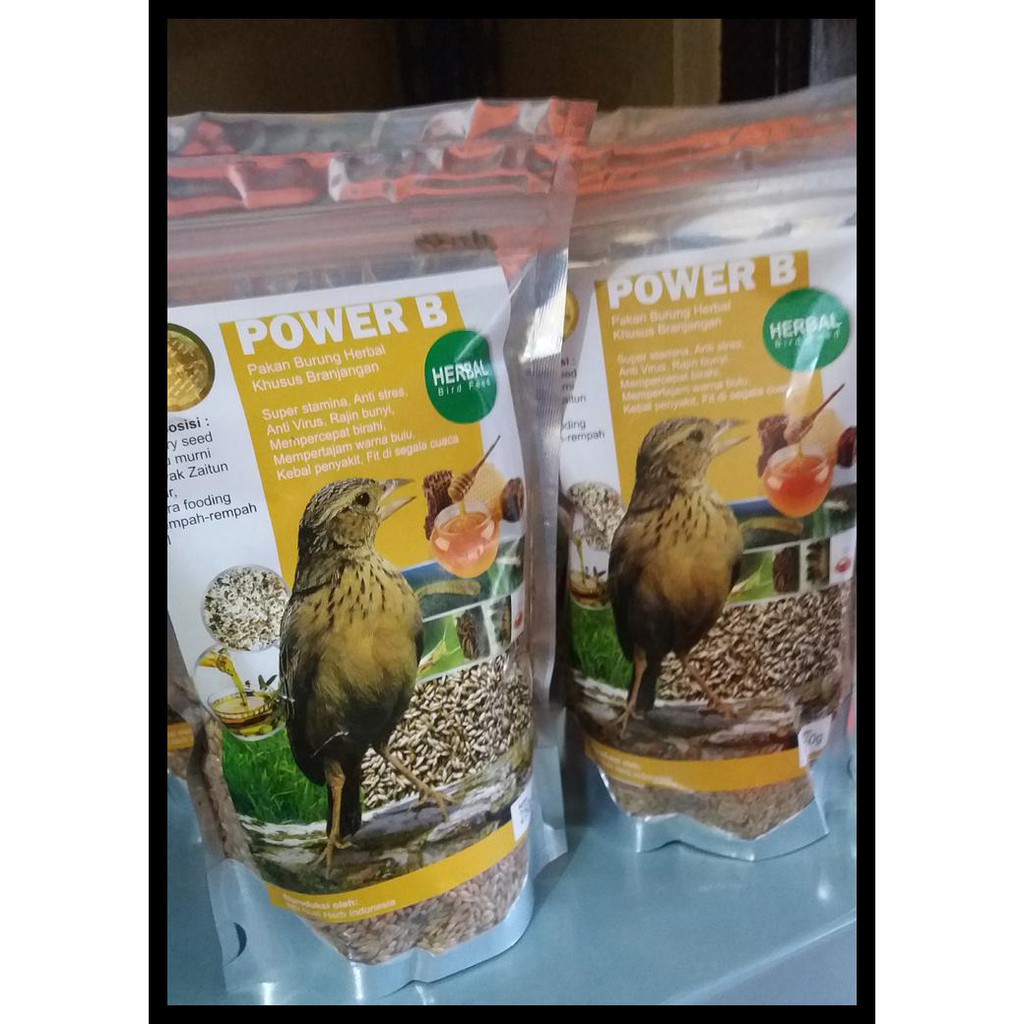 Power B Pakan Burung Branjangan Shopee Indonesia