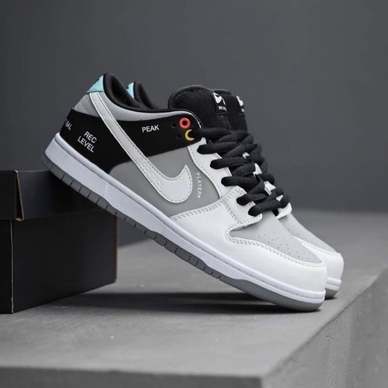 Nike SB Dunk Low VX1000 Camcorder