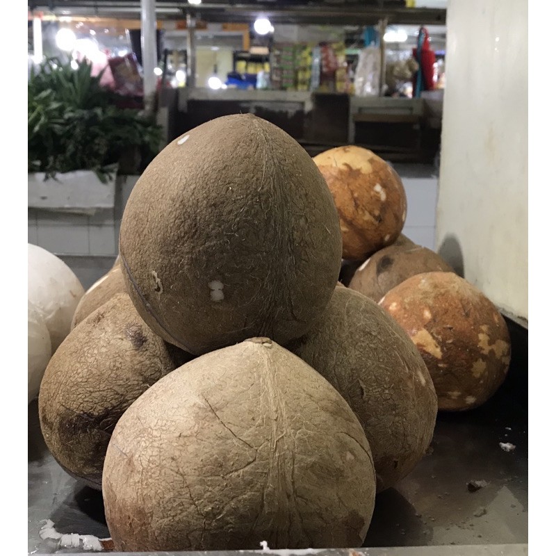 

kelapa parut dan santan