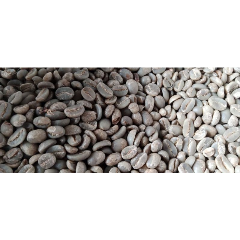 

Full wash Arabika sindoro