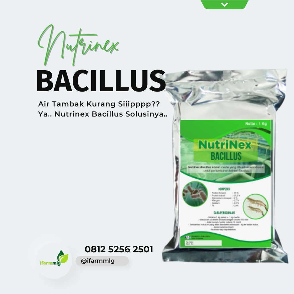 Nutrinex Bacillus 1 Kg – Media Khusus untuk Pertumbuhan Bakteri Bacillus di Tambak – Probiotik Bacil