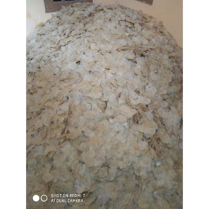 

Emping Melinjo Mlinjo khas Mancak Serang Banten
