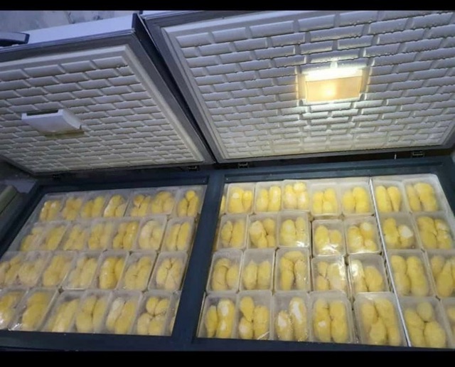 

Duren montong palu premium 500gr