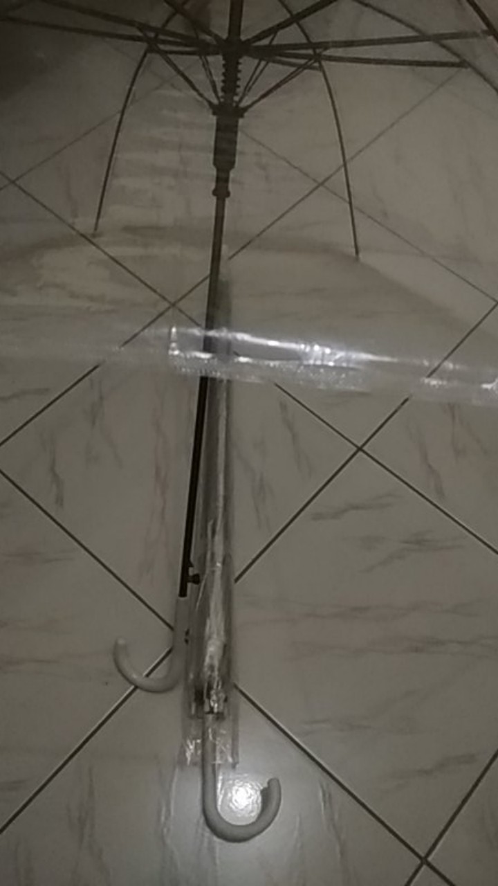 Payung Bening Transparan Payung Jepang Transparan, Umbrella Transparant