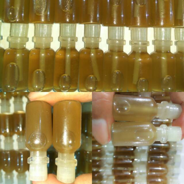 MINYAK BULUS BIO BREAST UP OIL 18in1 PROBIOTIK ENZIM PLUS GINSENG MERAH FENUGREEK PEMBESAR PAYUDARA