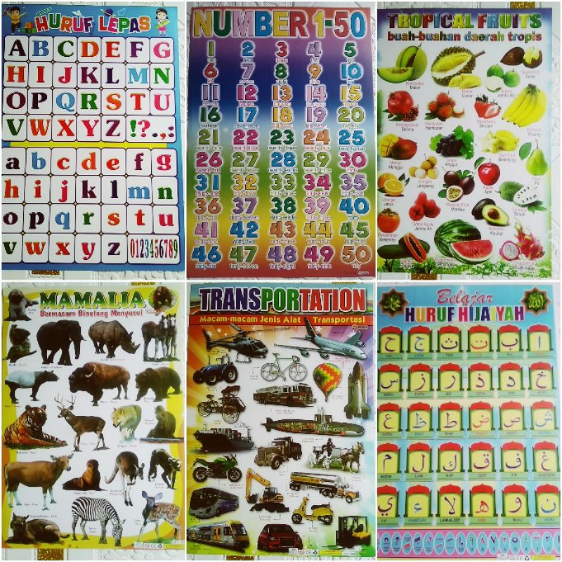 

Poster edukasi 6 pcs