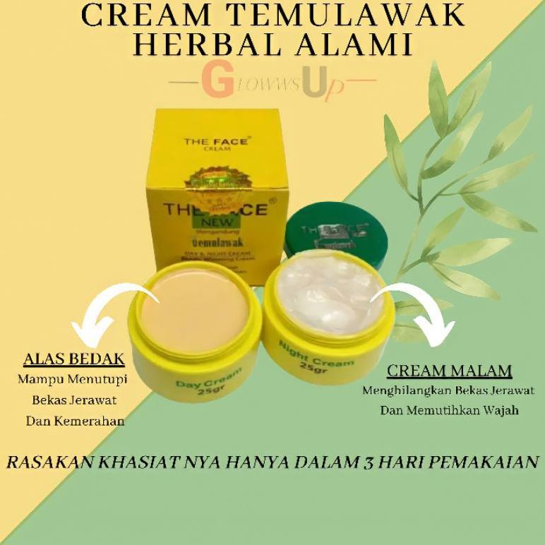 Cream Temulawak The Face Bpom - The Face Temulawak Cream Day N Night