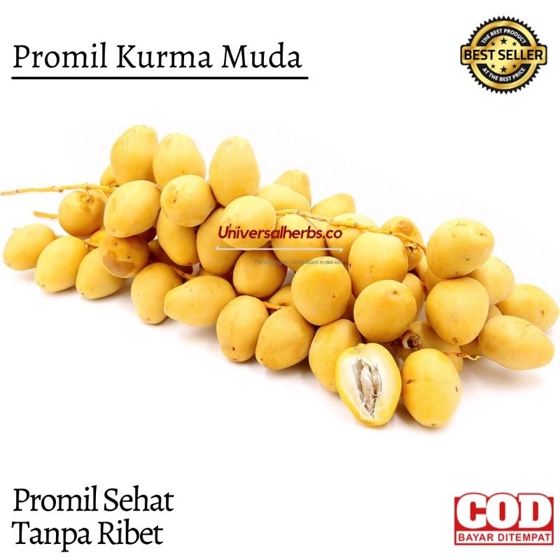 

Kurma Muda Untuk Promil Fresh Free Saffron Detox (1kg)