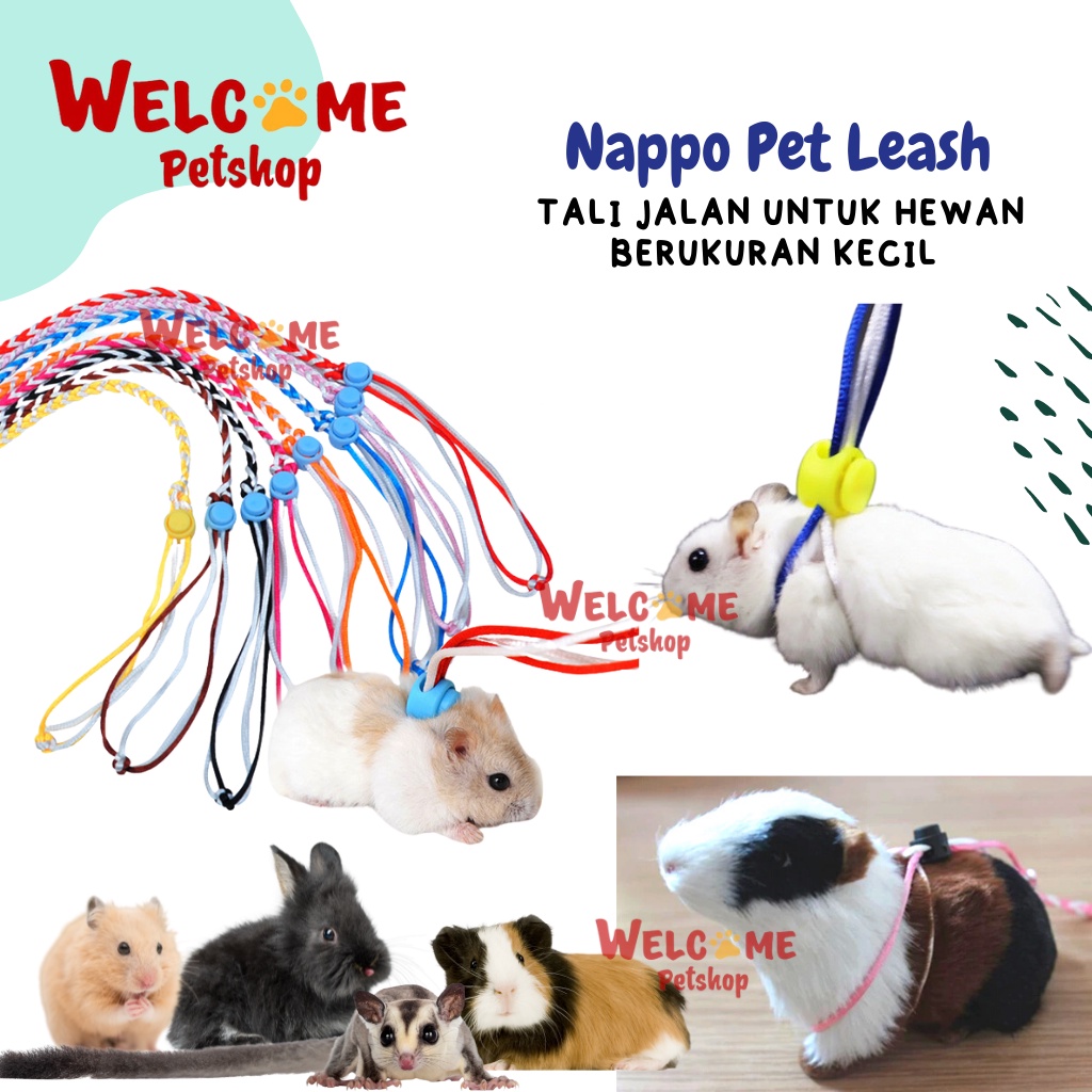 Nappo Pet Leash Tali Jalan Tuntun Hamster Kelinci Marmut Sugar Glider