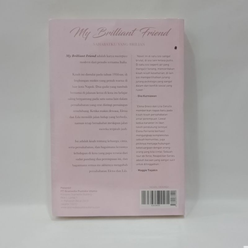 my brilliant friend - Alena ferantte
