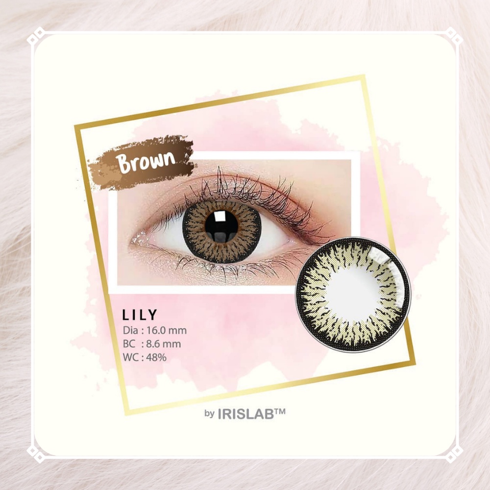 SOFTLENS LILY NORMAL BY IRIS LAB