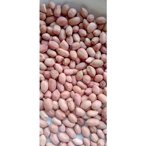 

Kacang Tanah Import Premium 0,5 kg