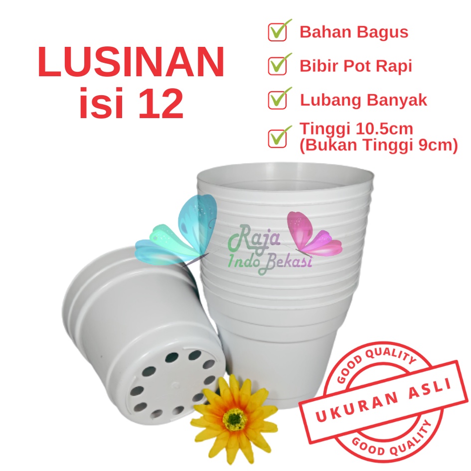 Rajaindobekasi Lusinan Pot 12 Putih Polos - Pot 12 Cm Putih Kecil Mini Minimalis Plastik Kaktus Sukulen Mini Murah Pot Bibit Pembibitan