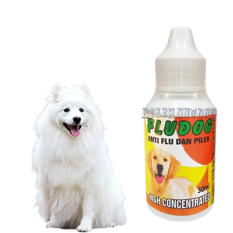 Flu Dog Obat Anjing Sakit Flu Pilek Batuk Demam Puppy Shopee Indonesia