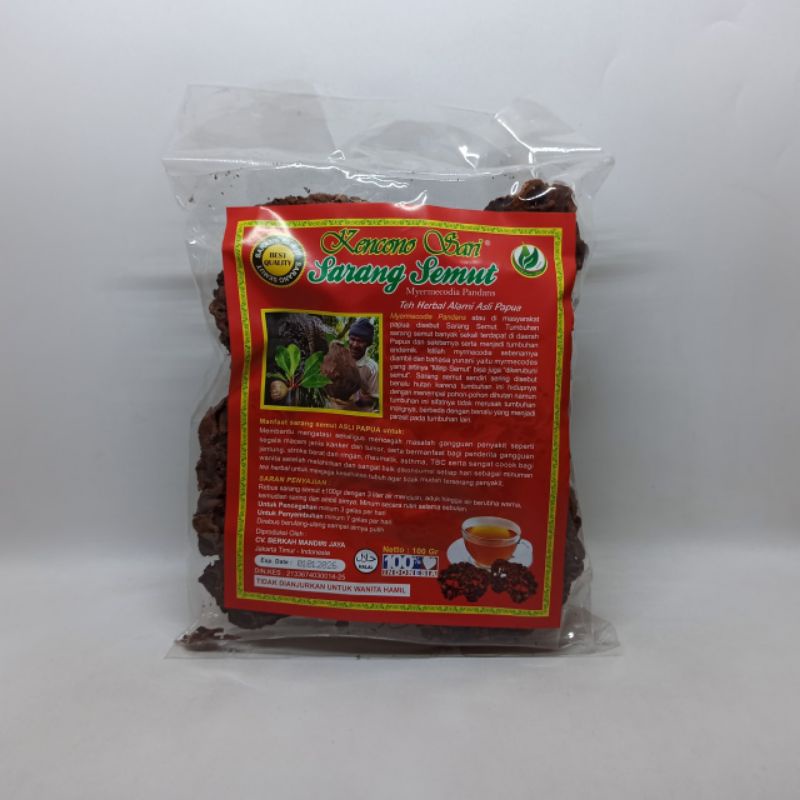 

Sarang Semut Kencono Sari.