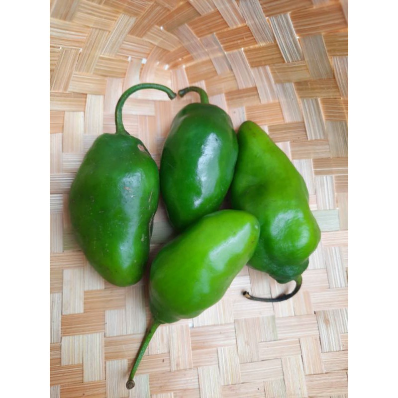 

Cabe gendot/kompor 500gr