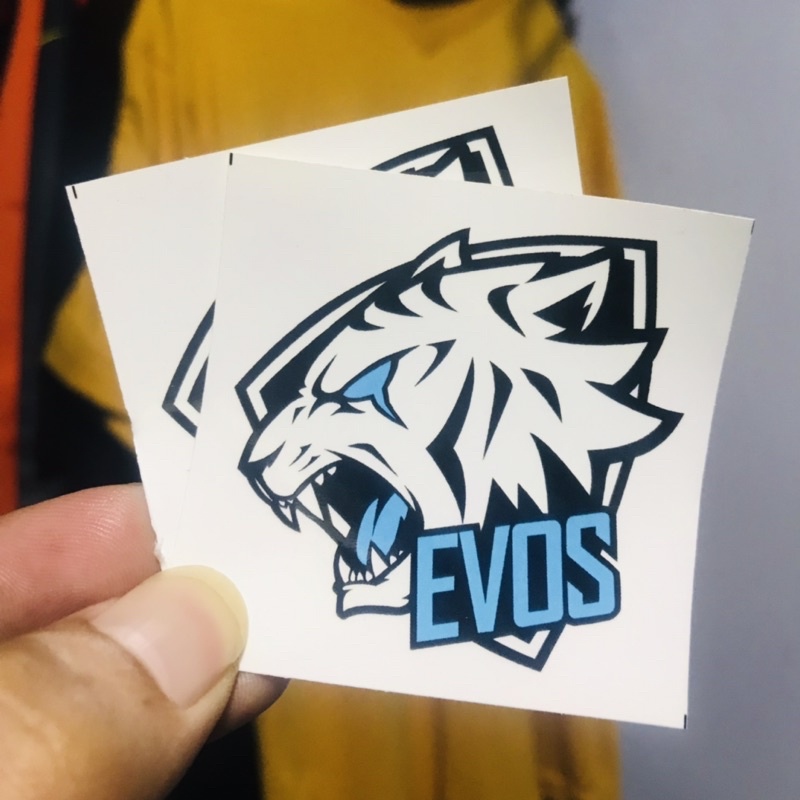 Stiker Esport HP Game  - ROG PS RRQ FF Bigetron (bijian)