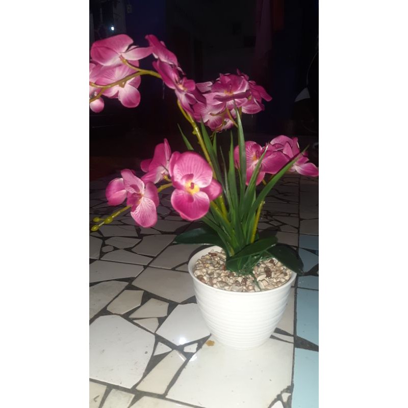 hiasan pohon anggrek dari plastik