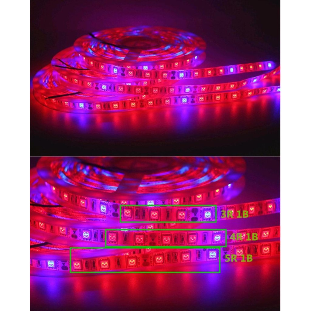 New Grow Light LED Waterproof Strip pita Full Spectrum