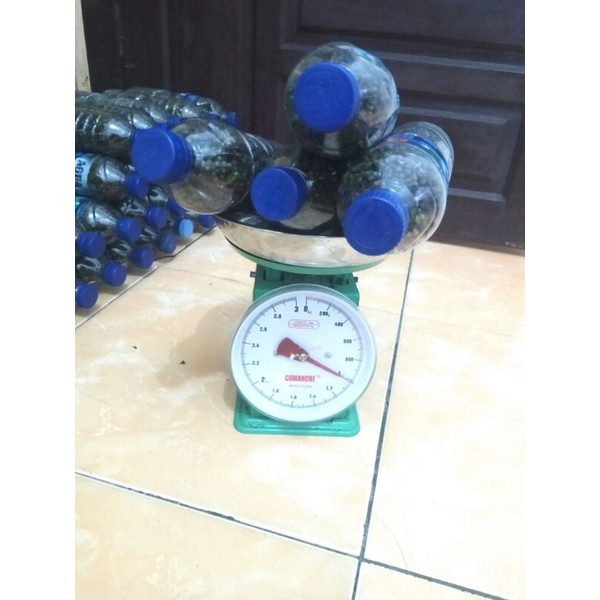 

andaliman parsoburan 1000 gram