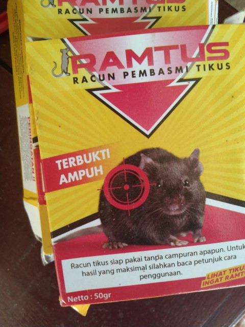 Racun Tikus Ramtus Asli Alami Mati Kering Tidak Bau Pembasmi Pengusir Tikus Super Paling Ampuh 4pack