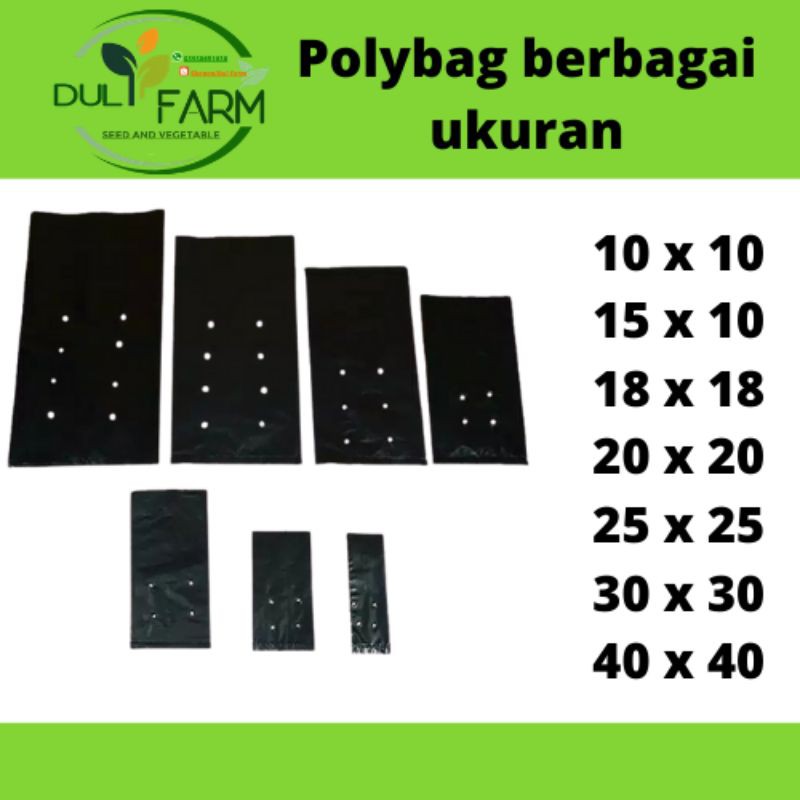 Polybag ecer 10x10 15x15 20x20 25x25 30x30 40x40 18x18 Polibag Polibek